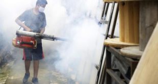 ¡Durante la pandemia! El dengue azota a Brasil y Colombia