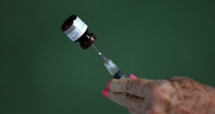 Fiebre amarilla en Venezuela: Reporta la OMS recomienda vacunación