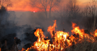 Aún-continúan-los-incendios-forestales-en-Canadá
