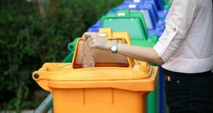 Home Projects Simplified: The Role of Garbage Bin Rentals in Residential Waste Management